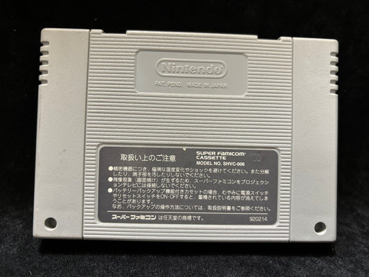 Banshee's Last Cry (Japanese) (Nintendo Super Famicom)