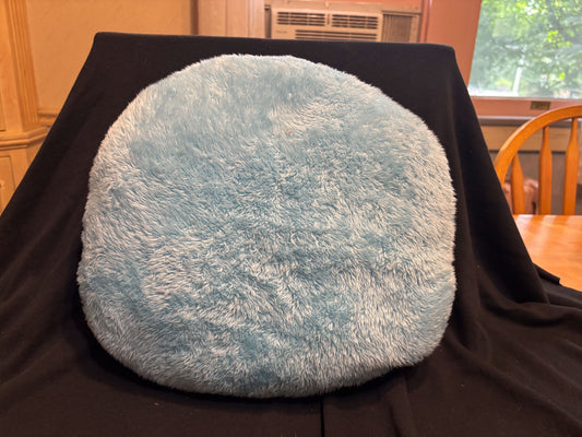 Pokemon Center Squirtle Face Cushion Plush