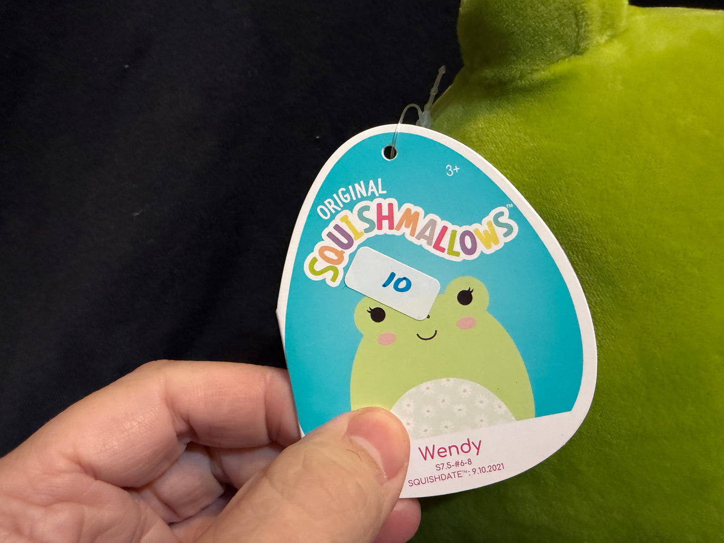 Wendy the Frog 8" Squishmallow