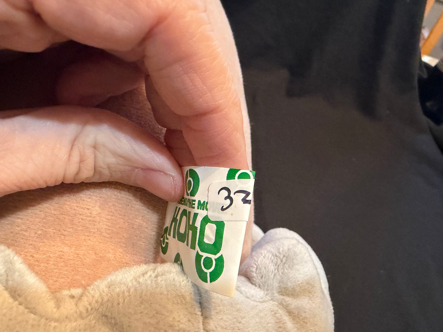 Pokemon Center Sitting Cuties Plush