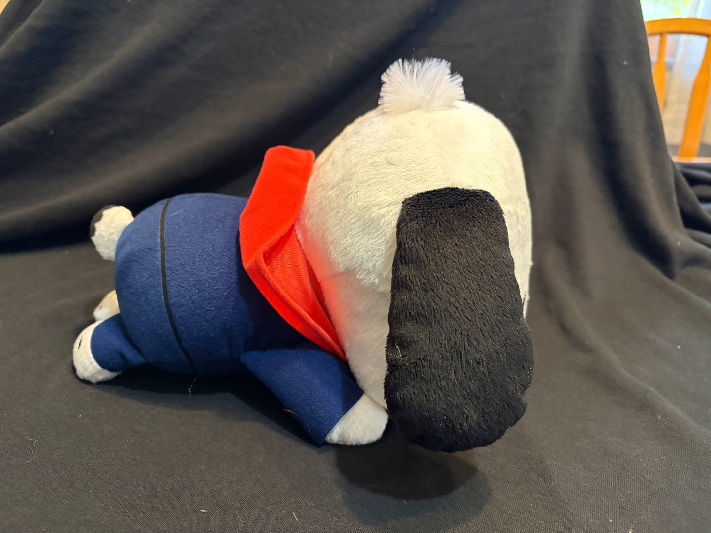 Sanrio Pochacco Plush with Hoodie