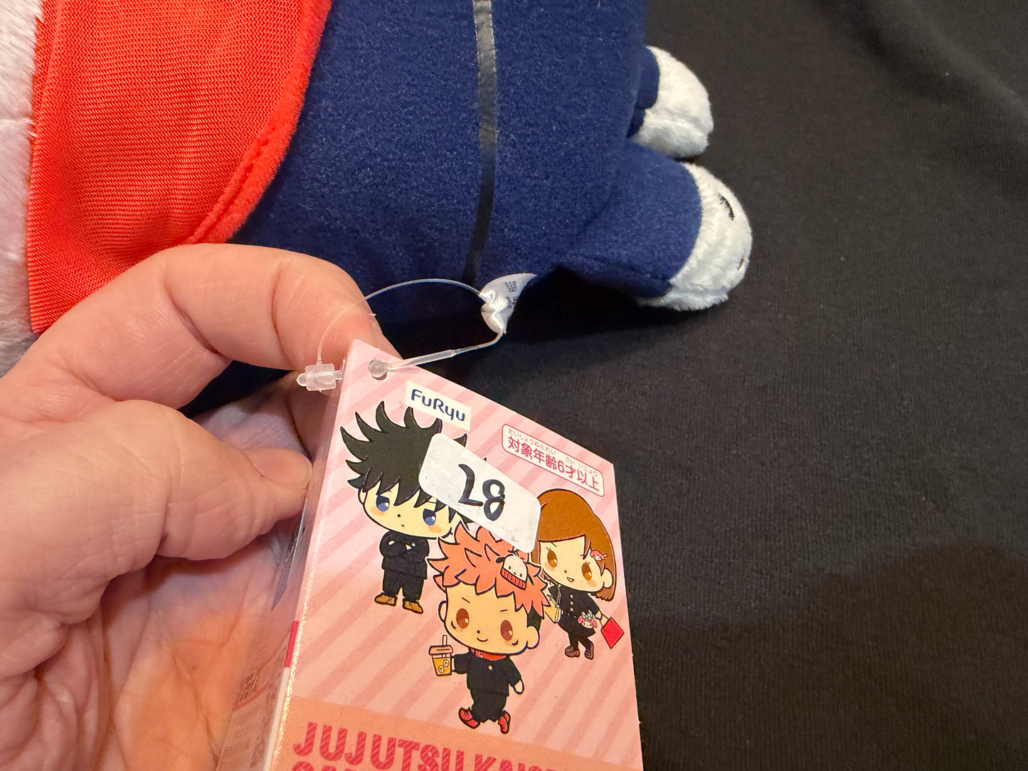 Sanrio Pochacco Plush with Hoodie