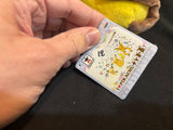 Pokemon Raichu Plush