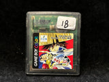 Shiren the Wanderer: Magic Castle of the Desert (Japanese) (Game Boy Color)