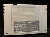 WWF Super WrestleMania (Japanese) (Nintendo Super Famicom)