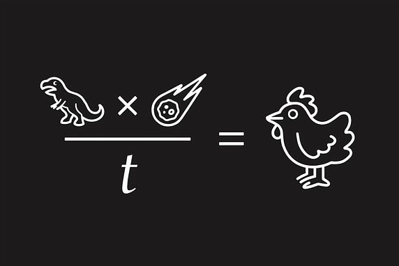 Dinosaur Evolution Equation/Solve for Chicken 4" x 4" Vinyl Decal