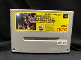 Tecmo Super NBA Basketball (Nintendo Super Famicom) (Japanese)
